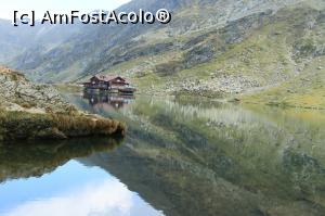 [P13] Transfagarasan, sept. 2016 » foto by Dana2008
 - 
<span class="allrVoted glyphicon glyphicon-heart hidden" id="av822295"></span>
<a class="m-l-10 hidden" id="sv822295" onclick="voting_Foto_DelVot(,822295,1790)" role="button">șterge vot <span class="glyphicon glyphicon-remove"></span></a>
<a id="v9822295" class=" c-red"  onclick="voting_Foto_SetVot(822295)" role="button"><span class="glyphicon glyphicon-heart-empty"></span> <b>LIKE</b> = Votează poza</a> <img class="hidden"  id="f822295W9" src="/imagini/loader.gif" border="0" /><span class="AjErrMes hidden" id="e822295ErM"></span>