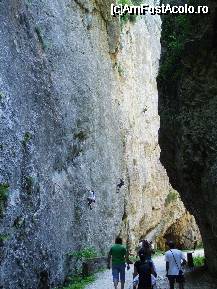 [P54] 'Panou' de catarare in Piatra Craiului » foto by catalinalupu
 - 
<span class="allrVoted glyphicon glyphicon-heart hidden" id="av44627"></span>
<a class="m-l-10 hidden" id="sv44627" onclick="voting_Foto_DelVot(,44627,1790)" role="button">șterge vot <span class="glyphicon glyphicon-remove"></span></a>
<a id="v944627" class=" c-red"  onclick="voting_Foto_SetVot(44627)" role="button"><span class="glyphicon glyphicon-heart-empty"></span> <b>LIKE</b> = Votează poza</a> <img class="hidden"  id="f44627W9" src="/imagini/loader.gif" border="0" /><span class="AjErrMes hidden" id="e44627ErM"></span>