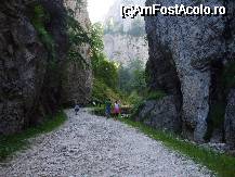 [P64] Piatra Craiului » foto by catalinalupu
 - 
<span class="allrVoted glyphicon glyphicon-heart hidden" id="av44641"></span>
<a class="m-l-10 hidden" id="sv44641" onclick="voting_Foto_DelVot(,44641,1790)" role="button">șterge vot <span class="glyphicon glyphicon-remove"></span></a>
<a id="v944641" class=" c-red"  onclick="voting_Foto_SetVot(44641)" role="button"><span class="glyphicon glyphicon-heart-empty"></span> <b>LIKE</b> = Votează poza</a> <img class="hidden"  id="f44641W9" src="/imagini/loader.gif" border="0" /><span class="AjErrMes hidden" id="e44641ErM"></span>