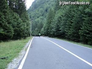 [P30]  -- <small>// FĂRĂ DESCRIERE</small> » foto by wolf2001*
 - 
<span class="allrVoted glyphicon glyphicon-heart hidden" id="av588830"></span>
<a class="m-l-10 hidden" id="sv588830" onclick="voting_Foto_DelVot(,588830,1790)" role="button">șterge vot <span class="glyphicon glyphicon-remove"></span></a>
<a id="v9588830" class=" c-red"  onclick="voting_Foto_SetVot(588830)" role="button"><span class="glyphicon glyphicon-heart-empty"></span> <b>LIKE</b> = Votează poza</a> <img class="hidden"  id="f588830W9" src="/imagini/loader.gif" border="0" /><span class="AjErrMes hidden" id="e588830ErM"></span>