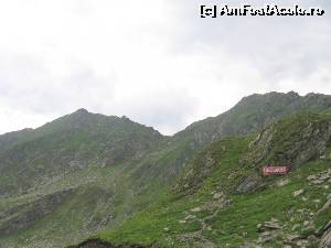 [P21] E SI O TIROLIANA » foto by Michi
 - 
<span class="allrVoted glyphicon glyphicon-heart hidden" id="av544987"></span>
<a class="m-l-10 hidden" id="sv544987" onclick="voting_Foto_DelVot(,544987,1790)" role="button">șterge vot <span class="glyphicon glyphicon-remove"></span></a>
<a id="v9544987" class=" c-red"  onclick="voting_Foto_SetVot(544987)" role="button"><span class="glyphicon glyphicon-heart-empty"></span> <b>LIKE</b> = Votează poza</a> <img class="hidden"  id="f544987W9" src="/imagini/loader.gif" border="0" /><span class="AjErrMes hidden" id="e544987ErM"></span>