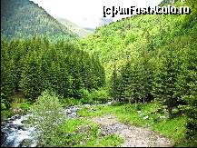 [P25] Peisaj de pe Transfagarasan, partea 1 » foto by C05T1N
 - 
<span class="allrVoted glyphicon glyphicon-heart hidden" id="av107415"></span>
<a class="m-l-10 hidden" id="sv107415" onclick="voting_Foto_DelVot(,107415,1790)" role="button">șterge vot <span class="glyphicon glyphicon-remove"></span></a>
<a id="v9107415" class=" c-red"  onclick="voting_Foto_SetVot(107415)" role="button"><span class="glyphicon glyphicon-heart-empty"></span> <b>LIKE</b> = Votează poza</a> <img class="hidden"  id="f107415W9" src="/imagini/loader.gif" border="0" /><span class="AjErrMes hidden" id="e107415ErM"></span>