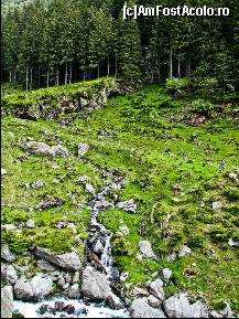 [P32] Peisaj de pe Transfagarasan, partea 5 » foto by C05T1N
 - 
<span class="allrVoted glyphicon glyphicon-heart hidden" id="av107424"></span>
<a class="m-l-10 hidden" id="sv107424" onclick="voting_Foto_DelVot(,107424,1790)" role="button">șterge vot <span class="glyphicon glyphicon-remove"></span></a>
<a id="v9107424" class=" c-red"  onclick="voting_Foto_SetVot(107424)" role="button"><span class="glyphicon glyphicon-heart-empty"></span> <b>LIKE</b> = Votează poza</a> <img class="hidden"  id="f107424W9" src="/imagini/loader.gif" border="0" /><span class="AjErrMes hidden" id="e107424ErM"></span>