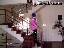 [P03] Receptia si sacarile, peste tot sunt plante naturale » foto by Valentina69
 - 
<span class="allrVoted glyphicon glyphicon-heart hidden" id="av47058"></span>
<a class="m-l-10 hidden" id="sv47058" onclick="voting_Foto_DelVot(,47058,1852)" role="button">șterge vot <span class="glyphicon glyphicon-remove"></span></a>
<a id="v947058" class=" c-red"  onclick="voting_Foto_SetVot(47058)" role="button"><span class="glyphicon glyphicon-heart-empty"></span> <b>LIKE</b> = Votează poza</a> <img class="hidden"  id="f47058W9" src="/imagini/loader.gif" border="0" /><span class="AjErrMes hidden" id="e47058ErM"></span>