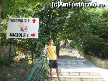 [P08] de la intrarea in curtea hotelului tot trebuia sa urci ...si sa tot urci » foto by gioko
 - 
<span class="allrVoted glyphicon glyphicon-heart hidden" id="av259693"></span>
<a class="m-l-10 hidden" id="sv259693" onclick="voting_Foto_DelVot(,259693,1873)" role="button">șterge vot <span class="glyphicon glyphicon-remove"></span></a>
<a id="v9259693" class=" c-red"  onclick="voting_Foto_SetVot(259693)" role="button"><span class="glyphicon glyphicon-heart-empty"></span> <b>LIKE</b> = Votează poza</a> <img class="hidden"  id="f259693W9" src="/imagini/loader.gif" border="0" /><span class="AjErrMes hidden" id="e259693ErM"></span>