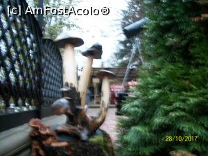 [P21] Curtea interioara: detaliu » foto by cristina47*
 - 
<span class="allrVoted glyphicon glyphicon-heart hidden" id="av916850"></span>
<a class="m-l-10 hidden" id="sv916850" onclick="voting_Foto_DelVot(,916850,1879)" role="button">șterge vot <span class="glyphicon glyphicon-remove"></span></a>
<a id="v9916850" class=" c-red"  onclick="voting_Foto_SetVot(916850)" role="button"><span class="glyphicon glyphicon-heart-empty"></span> <b>LIKE</b> = Votează poza</a> <img class="hidden"  id="f916850W9" src="/imagini/loader.gif" border="0" /><span class="AjErrMes hidden" id="e916850ErM"></span>