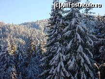 [P19] Pur şi simplu te lasă fără cuvinte. Eu cel puţin, am stat minute-n şir şi am privit pădurea proaspăt ninsă. » foto by creivean
 - 
<span class="allrVoted glyphicon glyphicon-heart hidden" id="av46215"></span>
<a class="m-l-10 hidden" id="sv46215" onclick="voting_Foto_DelVot(,46215,1883)" role="button">șterge vot <span class="glyphicon glyphicon-remove"></span></a>
<a id="v946215" class=" c-red"  onclick="voting_Foto_SetVot(46215)" role="button"><span class="glyphicon glyphicon-heart-empty"></span> <b>LIKE</b> = Votează poza</a> <img class="hidden"  id="f46215W9" src="/imagini/loader.gif" border="0" /><span class="AjErrMes hidden" id="e46215ErM"></span>