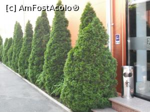 [P04] Aleea răcoroasă dintre restaurant și hotel. Aleea se prelungește până în parcare. De la hotel la restaurant se traverseaza lățimea de 3 m a aleii.  » foto by Zoazore
 - 
<span class="allrVoted glyphicon glyphicon-heart hidden" id="av736748"></span>
<a class="m-l-10 hidden" id="sv736748" onclick="voting_Foto_DelVot(,736748,1913)" role="button">șterge vot <span class="glyphicon glyphicon-remove"></span></a>
<a id="v9736748" class=" c-red"  onclick="voting_Foto_SetVot(736748)" role="button"><span class="glyphicon glyphicon-heart-empty"></span> <b>LIKE</b> = Votează poza</a> <img class="hidden"  id="f736748W9" src="/imagini/loader.gif" border="0" /><span class="AjErrMes hidden" id="e736748ErM"></span>