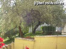 [P06] vedere din balcon » foto by shefce
 - 
<span class="allrVoted glyphicon glyphicon-heart hidden" id="av98607"></span>
<a class="m-l-10 hidden" id="sv98607" onclick="voting_Foto_DelVot(,98607,1929)" role="button">șterge vot <span class="glyphicon glyphicon-remove"></span></a>
<a id="v998607" class=" c-red"  onclick="voting_Foto_SetVot(98607)" role="button"><span class="glyphicon glyphicon-heart-empty"></span> <b>LIKE</b> = Votează poza</a> <img class="hidden"  id="f98607W9" src="/imagini/loader.gif" border="0" /><span class="AjErrMes hidden" id="e98607ErM"></span>