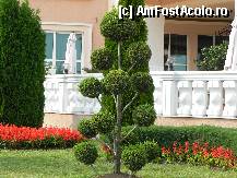 [P15]  -- <small>// FĂRĂ DESCRIERE</small> » foto by anusca
 - 
<span class="allrVoted glyphicon glyphicon-heart hidden" id="av305316"></span>
<a class="m-l-10 hidden" id="sv305316" onclick="voting_Foto_DelVot(,305316,1929)" role="button">șterge vot <span class="glyphicon glyphicon-remove"></span></a>
<a id="v9305316" class=" c-red"  onclick="voting_Foto_SetVot(305316)" role="button"><span class="glyphicon glyphicon-heart-empty"></span> <b>LIKE</b> = Votează poza</a> <img class="hidden"  id="f305316W9" src="/imagini/loader.gif" border="0" /><span class="AjErrMes hidden" id="e305316ErM"></span>