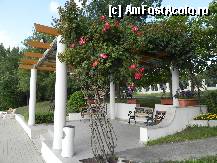 [P17]  -- <small>// FĂRĂ DESCRIERE</small> » foto by anusca
 - 
<span class="allrVoted glyphicon glyphicon-heart hidden" id="av305318"></span>
<a class="m-l-10 hidden" id="sv305318" onclick="voting_Foto_DelVot(,305318,1929)" role="button">șterge vot <span class="glyphicon glyphicon-remove"></span></a>
<a id="v9305318" class=" c-red"  onclick="voting_Foto_SetVot(305318)" role="button"><span class="glyphicon glyphicon-heart-empty"></span> <b>LIKE</b> = Votează poza</a> <img class="hidden"  id="f305318W9" src="/imagini/loader.gif" border="0" /><span class="AjErrMes hidden" id="e305318ErM"></span>