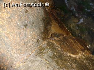 [P10] Fructe de mare :)  » foto by fanespoitorul
 - 
<span class="allrVoted glyphicon glyphicon-heart hidden" id="av870516"></span>
<a class="m-l-10 hidden" id="sv870516" onclick="voting_Foto_DelVot(,870516,1929)" role="button">șterge vot <span class="glyphicon glyphicon-remove"></span></a>
<a id="v9870516" class=" c-red"  onclick="voting_Foto_SetVot(870516)" role="button"><span class="glyphicon glyphicon-heart-empty"></span> <b>LIKE</b> = Votează poza</a> <img class="hidden"  id="f870516W9" src="/imagini/loader.gif" border="0" /><span class="AjErrMes hidden" id="e870516ErM"></span>