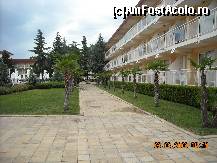 [P03] alee intre corpul D si piscina » foto by danbe
 - 
<span class="allrVoted glyphicon glyphicon-heart hidden" id="av17555"></span>
<a class="m-l-10 hidden" id="sv17555" onclick="voting_Foto_DelVot(,17555,1946)" role="button">șterge vot <span class="glyphicon glyphicon-remove"></span></a>
<a id="v917555" class=" c-red"  onclick="voting_Foto_SetVot(17555)" role="button"><span class="glyphicon glyphicon-heart-empty"></span> <b>LIKE</b> = Votează poza</a> <img class="hidden"  id="f17555W9" src="/imagini/loader.gif" border="0" /><span class="AjErrMes hidden" id="e17555ErM"></span>