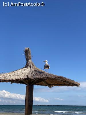 [P48] Hotel Bavaria Blu. Toamna la Marea Neagră! » foto by Floria
 - 
<span class="allrVoted glyphicon glyphicon-heart hidden" id="av1503979"></span>
<a class="m-l-10 hidden" id="sv1503979" onclick="voting_Foto_DelVot(,1503979,1957)" role="button">șterge vot <span class="glyphicon glyphicon-remove"></span></a>
<a id="v91503979" class=" c-red"  onclick="voting_Foto_SetVot(1503979)" role="button"><span class="glyphicon glyphicon-heart-empty"></span> <b>LIKE</b> = Votează poza</a> <img class="hidden"  id="f1503979W9" src="/imagini/loader.gif" border="0" /><span class="AjErrMes hidden" id="e1503979ErM"></span>