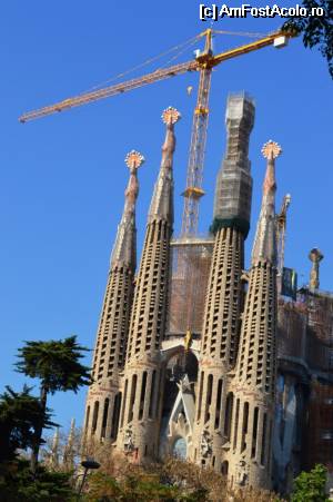 [P42] Barcelona - Sagrada Familia » foto by makuy*
 - 
<span class="allrVoted glyphicon glyphicon-heart hidden" id="av508967"></span>
<a class="m-l-10 hidden" id="sv508967" onclick="voting_Foto_DelVot(,508967,1999)" role="button">șterge vot <span class="glyphicon glyphicon-remove"></span></a>
<a id="v9508967" class=" c-red"  onclick="voting_Foto_SetVot(508967)" role="button"><span class="glyphicon glyphicon-heart-empty"></span> <b>LIKE</b> = Votează poza</a> <img class="hidden"  id="f508967W9" src="/imagini/loader.gif" border="0" /><span class="AjErrMes hidden" id="e508967ErM"></span>