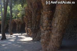 [P37] Barcelona - Parc Guell » foto by makuy*
 - 
<span class="allrVoted glyphicon glyphicon-heart hidden" id="av516153"></span>
<a class="m-l-10 hidden" id="sv516153" onclick="voting_Foto_DelVot(,516153,1999)" role="button">șterge vot <span class="glyphicon glyphicon-remove"></span></a>
<a id="v9516153" class=" c-red"  onclick="voting_Foto_SetVot(516153)" role="button"><span class="glyphicon glyphicon-heart-empty"></span> <b>LIKE</b> = Votează poza</a> <img class="hidden"  id="f516153W9" src="/imagini/loader.gif" border="0" /><span class="AjErrMes hidden" id="e516153ErM"></span>