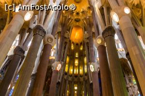 [P20]  -- <small>// FĂRĂ DESCRIERE</small> » foto by CosminZichil
 - 
<span class="allrVoted glyphicon glyphicon-heart hidden" id="av826854"></span>
<a class="m-l-10 hidden" id="sv826854" onclick="voting_Foto_DelVot(,826854,1999)" role="button">șterge vot <span class="glyphicon glyphicon-remove"></span></a>
<a id="v9826854" class=" c-red"  onclick="voting_Foto_SetVot(826854)" role="button"><span class="glyphicon glyphicon-heart-empty"></span> <b>LIKE</b> = Votează poza</a> <img class="hidden"  id="f826854W9" src="/imagini/loader.gif" border="0" /><span class="AjErrMes hidden" id="e826854ErM"></span>