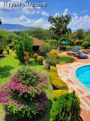 [P24] Prin Ngutuni Lodge » foto by nela b
 - 
<span class="allrVoted glyphicon glyphicon-heart hidden" id="av1515240"></span>
<a class="m-l-10 hidden" id="sv1515240" onclick="voting_Foto_DelVot(,1515240,2009)" role="button">șterge vot <span class="glyphicon glyphicon-remove"></span></a>
<a id="v91515240" class=" c-red"  onclick="voting_Foto_SetVot(1515240)" role="button"><span class="glyphicon glyphicon-heart-empty"></span> <b>LIKE</b> = Votează poza</a> <img class="hidden"  id="f1515240W9" src="/imagini/loader.gif" border="0" /><span class="AjErrMes hidden" id="e1515240ErM"></span>