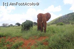 [P11] Vreti o confruntare barbateasca sau doar o poza? » foto by glcitizen
 - 
<span class="allrVoted glyphicon glyphicon-heart hidden" id="av730486"></span>
<a class="m-l-10 hidden" id="sv730486" onclick="voting_Foto_DelVot(,730486,2009)" role="button">șterge vot <span class="glyphicon glyphicon-remove"></span></a>
<a id="v9730486" class=" c-red"  onclick="voting_Foto_SetVot(730486)" role="button"><span class="glyphicon glyphicon-heart-empty"></span> <b>LIKE</b> = Votează poza</a> <img class="hidden"  id="f730486W9" src="/imagini/loader.gif" border="0" /><span class="AjErrMes hidden" id="e730486ErM"></span>