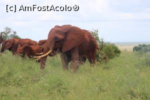 [P12] Un moment de reflectie la mijloc de drum.  » foto by glcitizen
 - 
<span class="allrVoted glyphicon glyphicon-heart hidden" id="av730487"></span>
<a class="m-l-10 hidden" id="sv730487" onclick="voting_Foto_DelVot(,730487,2009)" role="button">șterge vot <span class="glyphicon glyphicon-remove"></span></a>
<a id="v9730487" class=" c-red"  onclick="voting_Foto_SetVot(730487)" role="button"><span class="glyphicon glyphicon-heart-empty"></span> <b>LIKE</b> = Votează poza</a> <img class="hidden"  id="f730487W9" src="/imagini/loader.gif" border="0" /><span class="AjErrMes hidden" id="e730487ErM"></span>