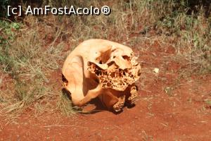 [P13] Ce am fost si ce-am ajuns...  » foto by glcitizen
 - 
<span class="allrVoted glyphicon glyphicon-heart hidden" id="av730488"></span>
<a class="m-l-10 hidden" id="sv730488" onclick="voting_Foto_DelVot(,730488,2009)" role="button">șterge vot <span class="glyphicon glyphicon-remove"></span></a>
<a id="v9730488" class=" c-red"  onclick="voting_Foto_SetVot(730488)" role="button"><span class="glyphicon glyphicon-heart-empty"></span> <b>LIKE</b> = Votează poza</a> <img class="hidden"  id="f730488W9" src="/imagini/loader.gif" border="0" /><span class="AjErrMes hidden" id="e730488ErM"></span>