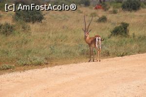 [P14] Treceti o data sau nu?  » foto by glcitizen
 - 
<span class="allrVoted glyphicon glyphicon-heart hidden" id="av730489"></span>
<a class="m-l-10 hidden" id="sv730489" onclick="voting_Foto_DelVot(,730489,2009)" role="button">șterge vot <span class="glyphicon glyphicon-remove"></span></a>
<a id="v9730489" class=" c-red"  onclick="voting_Foto_SetVot(730489)" role="button"><span class="glyphicon glyphicon-heart-empty"></span> <b>LIKE</b> = Votează poza</a> <img class="hidden"  id="f730489W9" src="/imagini/loader.gif" border="0" /><span class="AjErrMes hidden" id="e730489ErM"></span>