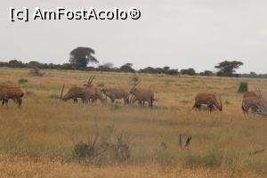 [P17] Este ora mesei, vrem putina liniste!  » foto by glcitizen
 - 
<span class="allrVoted glyphicon glyphicon-heart hidden" id="av730492"></span>
<a class="m-l-10 hidden" id="sv730492" onclick="voting_Foto_DelVot(,730492,2009)" role="button">șterge vot <span class="glyphicon glyphicon-remove"></span></a>
<a id="v9730492" class=" c-red"  onclick="voting_Foto_SetVot(730492)" role="button"><span class="glyphicon glyphicon-heart-empty"></span> <b>LIKE</b> = Votează poza</a> <img class="hidden"  id="f730492W9" src="/imagini/loader.gif" border="0" /><span class="AjErrMes hidden" id="e730492ErM"></span>