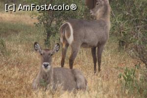 [P18] Odihna si veghe, cu randul.  » foto by glcitizen
 - 
<span class="allrVoted glyphicon glyphicon-heart hidden" id="av730493"></span>
<a class="m-l-10 hidden" id="sv730493" onclick="voting_Foto_DelVot(,730493,2009)" role="button">șterge vot <span class="glyphicon glyphicon-remove"></span></a>
<a id="v9730493" class=" c-red"  onclick="voting_Foto_SetVot(730493)" role="button"><span class="glyphicon glyphicon-heart-empty"></span> <b>LIKE</b> = Votează poza</a> <img class="hidden"  id="f730493W9" src="/imagini/loader.gif" border="0" /><span class="AjErrMes hidden" id="e730493ErM"></span>