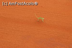 [P02] STOP! Primul punct de control in jungla.  » foto by glcitizen
 - 
<span class="allrVoted glyphicon glyphicon-heart hidden" id="av730477"></span>
<a class="m-l-10 hidden" id="sv730477" onclick="voting_Foto_DelVot(,730477,2009)" role="button">șterge vot <span class="glyphicon glyphicon-remove"></span></a>
<a id="v9730477" class=" c-red"  onclick="voting_Foto_SetVot(730477)" role="button"><span class="glyphicon glyphicon-heart-empty"></span> <b>LIKE</b> = Votează poza</a> <img class="hidden"  id="f730477W9" src="/imagini/loader.gif" border="0" /><span class="AjErrMes hidden" id="e730477ErM"></span>