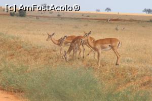 [P20] O discutie in grup inainte de a lua o decizie finala.  » foto by glcitizen
 - 
<span class="allrVoted glyphicon glyphicon-heart hidden" id="av730495"></span>
<a class="m-l-10 hidden" id="sv730495" onclick="voting_Foto_DelVot(,730495,2009)" role="button">șterge vot <span class="glyphicon glyphicon-remove"></span></a>
<a id="v9730495" class=" c-red"  onclick="voting_Foto_SetVot(730495)" role="button"><span class="glyphicon glyphicon-heart-empty"></span> <b>LIKE</b> = Votează poza</a> <img class="hidden"  id="f730495W9" src="/imagini/loader.gif" border="0" /><span class="AjErrMes hidden" id="e730495ErM"></span>