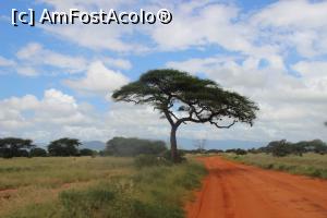 [P21] O priveliste cu impact artistic.  » foto by glcitizen
 - 
<span class="allrVoted glyphicon glyphicon-heart hidden" id="av730496"></span>
<a class="m-l-10 hidden" id="sv730496" onclick="voting_Foto_DelVot(,730496,2009)" role="button">șterge vot <span class="glyphicon glyphicon-remove"></span></a>
<a id="v9730496" class=" c-red"  onclick="voting_Foto_SetVot(730496)" role="button"><span class="glyphicon glyphicon-heart-empty"></span> <b>LIKE</b> = Votează poza</a> <img class="hidden"  id="f730496W9" src="/imagini/loader.gif" border="0" /><span class="AjErrMes hidden" id="e730496ErM"></span>