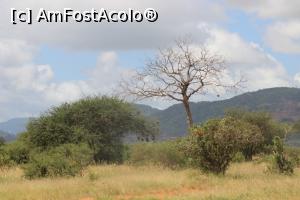 [P22] O posibila alarma falsa de furtuna.  » foto by glcitizen
 - 
<span class="allrVoted glyphicon glyphicon-heart hidden" id="av730497"></span>
<a class="m-l-10 hidden" id="sv730497" onclick="voting_Foto_DelVot(,730497,2009)" role="button">șterge vot <span class="glyphicon glyphicon-remove"></span></a>
<a id="v9730497" class=" c-red"  onclick="voting_Foto_SetVot(730497)" role="button"><span class="glyphicon glyphicon-heart-empty"></span> <b>LIKE</b> = Votează poza</a> <img class="hidden"  id="f730497W9" src="/imagini/loader.gif" border="0" /><span class="AjErrMes hidden" id="e730497ErM"></span>