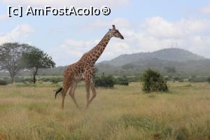 [P23] O iesire demna din scena.  » foto by glcitizen
 - 
<span class="allrVoted glyphicon glyphicon-heart hidden" id="av730498"></span>
<a class="m-l-10 hidden" id="sv730498" onclick="voting_Foto_DelVot(,730498,2009)" role="button">șterge vot <span class="glyphicon glyphicon-remove"></span></a>
<a id="v9730498" class=" c-red"  onclick="voting_Foto_SetVot(730498)" role="button"><span class="glyphicon glyphicon-heart-empty"></span> <b>LIKE</b> = Votează poza</a> <img class="hidden"  id="f730498W9" src="/imagini/loader.gif" border="0" /><span class="AjErrMes hidden" id="e730498ErM"></span>