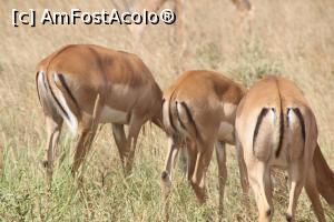 [P05] Nu ne deranjati, dar nici nu ne pasa de voi!  » foto by glcitizen
 - 
<span class="allrVoted glyphicon glyphicon-heart hidden" id="av730480"></span>
<a class="m-l-10 hidden" id="sv730480" onclick="voting_Foto_DelVot(,730480,2009)" role="button">șterge vot <span class="glyphicon glyphicon-remove"></span></a>
<a id="v9730480" class=" c-red"  onclick="voting_Foto_SetVot(730480)" role="button"><span class="glyphicon glyphicon-heart-empty"></span> <b>LIKE</b> = Votează poza</a> <img class="hidden"  id="f730480W9" src="/imagini/loader.gif" border="0" /><span class="AjErrMes hidden" id="e730480ErM"></span>