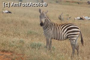 [P06] Mereu aceleasi masini si aceeasi oameni curiosi!  » foto by glcitizen
 - 
<span class="allrVoted glyphicon glyphicon-heart hidden" id="av730481"></span>
<a class="m-l-10 hidden" id="sv730481" onclick="voting_Foto_DelVot(,730481,2009)" role="button">șterge vot <span class="glyphicon glyphicon-remove"></span></a>
<a id="v9730481" class=" c-red"  onclick="voting_Foto_SetVot(730481)" role="button"><span class="glyphicon glyphicon-heart-empty"></span> <b>LIKE</b> = Votează poza</a> <img class="hidden"  id="f730481W9" src="/imagini/loader.gif" border="0" /><span class="AjErrMes hidden" id="e730481ErM"></span>