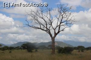 [P07] Scenarii de Hollywood pentru vizitatorii cu imaginatie.  » foto by glcitizen
 - 
<span class="allrVoted glyphicon glyphicon-heart hidden" id="av730482"></span>
<a class="m-l-10 hidden" id="sv730482" onclick="voting_Foto_DelVot(,730482,2009)" role="button">șterge vot <span class="glyphicon glyphicon-remove"></span></a>
<a id="v9730482" class=" c-red"  onclick="voting_Foto_SetVot(730482)" role="button"><span class="glyphicon glyphicon-heart-empty"></span> <b>LIKE</b> = Votează poza</a> <img class="hidden"  id="f730482W9" src="/imagini/loader.gif" border="0" /><span class="AjErrMes hidden" id="e730482ErM"></span>