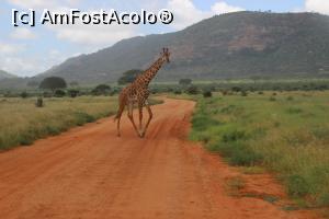 [P08] O prima balerina intrand in scena.  » foto by glcitizen
 - 
<span class="allrVoted glyphicon glyphicon-heart hidden" id="av730483"></span>
<a class="m-l-10 hidden" id="sv730483" onclick="voting_Foto_DelVot(,730483,2009)" role="button">șterge vot <span class="glyphicon glyphicon-remove"></span></a>
<a id="v9730483" class=" c-red"  onclick="voting_Foto_SetVot(730483)" role="button"><span class="glyphicon glyphicon-heart-empty"></span> <b>LIKE</b> = Votează poza</a> <img class="hidden"  id="f730483W9" src="/imagini/loader.gif" border="0" /><span class="AjErrMes hidden" id="e730483ErM"></span>