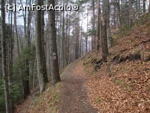 [P33] Posibilități de relaxare la Slănic Moldova: la pas prin pădure către Platoul de sub Vârful Cerbului.  » foto by Floryn81
 - 
<span class="allrVoted glyphicon glyphicon-heart hidden" id="av853169"></span>
<a class="m-l-10 hidden" id="sv853169" onclick="voting_Foto_DelVot(,853169,2010)" role="button">șterge vot <span class="glyphicon glyphicon-remove"></span></a>
<a id="v9853169" class=" c-red"  onclick="voting_Foto_SetVot(853169)" role="button"><span class="glyphicon glyphicon-heart-empty"></span> <b>LIKE</b> = Votează poza</a> <img class="hidden"  id="f853169W9" src="/imagini/loader.gif" border="0" /><span class="AjErrMes hidden" id="e853169ErM"></span>