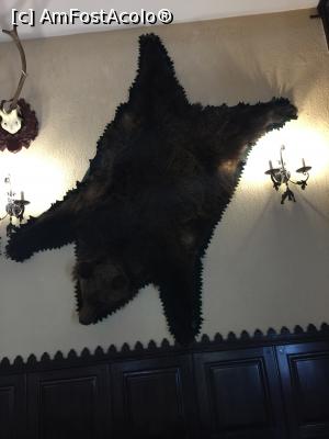 [P14] decoruri vanatoresti din restaurant » foto by Dan&Ema
 - 
<span class="allrVoted glyphicon glyphicon-heart hidden" id="av841585"></span>
<a class="m-l-10 hidden" id="sv841585" onclick="voting_Foto_DelVot(,841585,2010)" role="button">șterge vot <span class="glyphicon glyphicon-remove"></span></a>
<a id="v9841585" class=" c-red"  onclick="voting_Foto_SetVot(841585)" role="button"><span class="glyphicon glyphicon-heart-empty"></span> <b>LIKE</b> = Votează poza</a> <img class="hidden"  id="f841585W9" src="/imagini/loader.gif" border="0" /><span class="AjErrMes hidden" id="e841585ErM"></span>