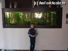 [P09] Perla Hotel -acvariul imnes, curat, plin de vietati de la intrare si..un maaaare iubitor de pestisori! » foto by sunflower
 - 
<span class="allrVoted glyphicon glyphicon-heart hidden" id="av310150"></span>
<a class="m-l-10 hidden" id="sv310150" onclick="voting_Foto_DelVot(,310150,2014)" role="button">șterge vot <span class="glyphicon glyphicon-remove"></span></a>
<a id="v9310150" class=" c-red"  onclick="voting_Foto_SetVot(310150)" role="button"><span class="glyphicon glyphicon-heart-empty"></span> <b>LIKE</b> = Votează poza</a> <img class="hidden"  id="f310150W9" src="/imagini/loader.gif" border="0" /><span class="AjErrMes hidden" id="e310150ErM"></span>
