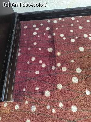 [P16] Diferența de culoare și uzură a mochetei » foto by csm34
 - 
<span class="allrVoted glyphicon glyphicon-heart hidden" id="av1521356"></span>
<a class="m-l-10 hidden" id="sv1521356" onclick="voting_Foto_DelVot(,1521356,2029)" role="button">șterge vot <span class="glyphicon glyphicon-remove"></span></a>
<a id="v91521356" class=" c-red"  onclick="voting_Foto_SetVot(1521356)" role="button"><span class="glyphicon glyphicon-heart-empty"></span> <b>LIKE</b> = Votează poza</a> <img class="hidden"  id="f1521356W9" src="/imagini/loader.gif" border="0" /><span class="AjErrMes hidden" id="e1521356ErM"></span>