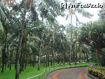 [P02] Drumul pe care incepe descoperirea minunatului parc » foto by pink_gabi*
 - 
<span class="allrVoted glyphicon glyphicon-heart hidden" id="av75016"></span>
<a class="m-l-10 hidden" id="sv75016" onclick="voting_Foto_DelVot(,75016,2078)" role="button">șterge vot <span class="glyphicon glyphicon-remove"></span></a>
<a id="v975016" class=" c-red"  onclick="voting_Foto_SetVot(75016)" role="button"><span class="glyphicon glyphicon-heart-empty"></span> <b>LIKE</b> = Votează poza</a> <img class="hidden"  id="f75016W9" src="/imagini/loader.gif" border="0" /><span class="AjErrMes hidden" id="e75016ErM"></span>