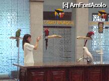 [P04] Loro Show - el este Leo si merge cu bicicleta » foto by pink_gabi*
 - 
<span class="allrVoted glyphicon glyphicon-heart hidden" id="av75018"></span>
<a class="m-l-10 hidden" id="sv75018" onclick="voting_Foto_DelVot(,75018,2078)" role="button">șterge vot <span class="glyphicon glyphicon-remove"></span></a>
<a id="v975018" class=" c-red"  onclick="voting_Foto_SetVot(75018)" role="button"><span class="glyphicon glyphicon-heart-empty"></span> <b>LIKE</b> = Votează poza</a> <img class="hidden"  id="f75018W9" src="/imagini/loader.gif" border="0" /><span class="AjErrMes hidden" id="e75018ErM"></span>