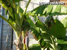 [P93] Milina » foto by ionescunic
 - 
<span class="allrVoted glyphicon glyphicon-heart hidden" id="av242533"></span>
<a class="m-l-10 hidden" id="sv242533" onclick="voting_Foto_DelVot(,242533,2124)" role="button">șterge vot <span class="glyphicon glyphicon-remove"></span></a>
<a id="v9242533" class=" c-red"  onclick="voting_Foto_SetVot(242533)" role="button"><span class="glyphicon glyphicon-heart-empty"></span> <b>LIKE</b> = Votează poza</a> <img class="hidden"  id="f242533W9" src="/imagini/loader.gif" border="0" /><span class="AjErrMes hidden" id="e242533ErM"></span>