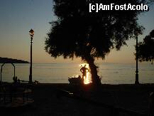 [P96] Milina » foto by ionescunic
 - 
<span class="allrVoted glyphicon glyphicon-heart hidden" id="av242536"></span>
<a class="m-l-10 hidden" id="sv242536" onclick="voting_Foto_DelVot(,242536,2124)" role="button">șterge vot <span class="glyphicon glyphicon-remove"></span></a>
<a id="v9242536" class=" c-red"  onclick="voting_Foto_SetVot(242536)" role="button"><span class="glyphicon glyphicon-heart-empty"></span> <b>LIKE</b> = Votează poza</a> <img class="hidden"  id="f242536W9" src="/imagini/loader.gif" border="0" /><span class="AjErrMes hidden" id="e242536ErM"></span>