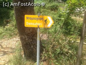 [P04] Suntem norocoși » foto by almona
 - 
<span class="allrVoted glyphicon glyphicon-heart hidden" id="av876349"></span>
<a class="m-l-10 hidden" id="sv876349" onclick="voting_Foto_DelVot(,876349,2124)" role="button">șterge vot <span class="glyphicon glyphicon-remove"></span></a>
<a id="v9876349" class=" c-red"  onclick="voting_Foto_SetVot(876349)" role="button"><span class="glyphicon glyphicon-heart-empty"></span> <b>LIKE</b> = Votează poza</a> <img class="hidden"  id="f876349W9" src="/imagini/loader.gif" border="0" /><span class="AjErrMes hidden" id="e876349ErM"></span>