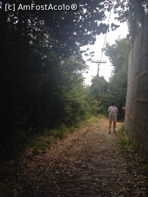 [P05] Pe cărări de munte și frunzele descriu serpentine » foto by almona
 - 
<span class="allrVoted glyphicon glyphicon-heart hidden" id="av876351"></span>
<a class="m-l-10 hidden" id="sv876351" onclick="voting_Foto_DelVot(,876351,2124)" role="button">șterge vot <span class="glyphicon glyphicon-remove"></span></a>
<a id="v9876351" class=" c-red"  onclick="voting_Foto_SetVot(876351)" role="button"><span class="glyphicon glyphicon-heart-empty"></span> <b>LIKE</b> = Votează poza</a> <img class="hidden"  id="f876351W9" src="/imagini/loader.gif" border="0" /><span class="AjErrMes hidden" id="e876351ErM"></span>