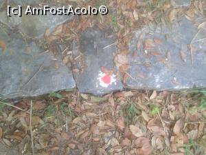 [P07] Nu pierdem din ochi marcajul cu punct roșu » foto by almona
 - 
<span class="allrVoted glyphicon glyphicon-heart hidden" id="av876355"></span>
<a class="m-l-10 hidden" id="sv876355" onclick="voting_Foto_DelVot(,876355,2124)" role="button">șterge vot <span class="glyphicon glyphicon-remove"></span></a>
<a id="v9876355" class=" c-red"  onclick="voting_Foto_SetVot(876355)" role="button"><span class="glyphicon glyphicon-heart-empty"></span> <b>LIKE</b> = Votează poza</a> <img class="hidden"  id="f876355W9" src="/imagini/loader.gif" border="0" /><span class="AjErrMes hidden" id="e876355ErM"></span>