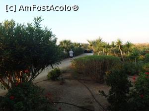 [P44] Naxos - Fata Morgana » foto by doricuta
 - 
<span class="allrVoted glyphicon glyphicon-heart hidden" id="av1117030"></span>
<a class="m-l-10 hidden" id="sv1117030" onclick="voting_Foto_DelVot(,1117030,2166)" role="button">șterge vot <span class="glyphicon glyphicon-remove"></span></a>
<a id="v91117030" class=" c-red"  onclick="voting_Foto_SetVot(1117030)" role="button"><span class="glyphicon glyphicon-heart-empty"></span> <b>LIKE</b> = Votează poza</a> <img class="hidden"  id="f1117030W9" src="/imagini/loader.gif" border="0" /><span class="AjErrMes hidden" id="e1117030ErM"></span>