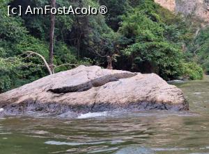 [P02] Am văzut pentru prima dată crocodili în mediul lor natural » foto by BOGDAN DSN
 - 
<span class="allrVoted glyphicon glyphicon-heart hidden" id="av1410544"></span>
<a class="m-l-10 hidden" id="sv1410544" onclick="voting_Foto_DelVot(,1410544,2210)" role="button">șterge vot <span class="glyphicon glyphicon-remove"></span></a>
<a id="v91410544" class=" c-red"  onclick="voting_Foto_SetVot(1410544)" role="button"><span class="glyphicon glyphicon-heart-empty"></span> <b>LIKE</b> = Votează poza</a> <img class="hidden"  id="f1410544W9" src="/imagini/loader.gif" border="0" /><span class="AjErrMes hidden" id="e1410544ErM"></span>